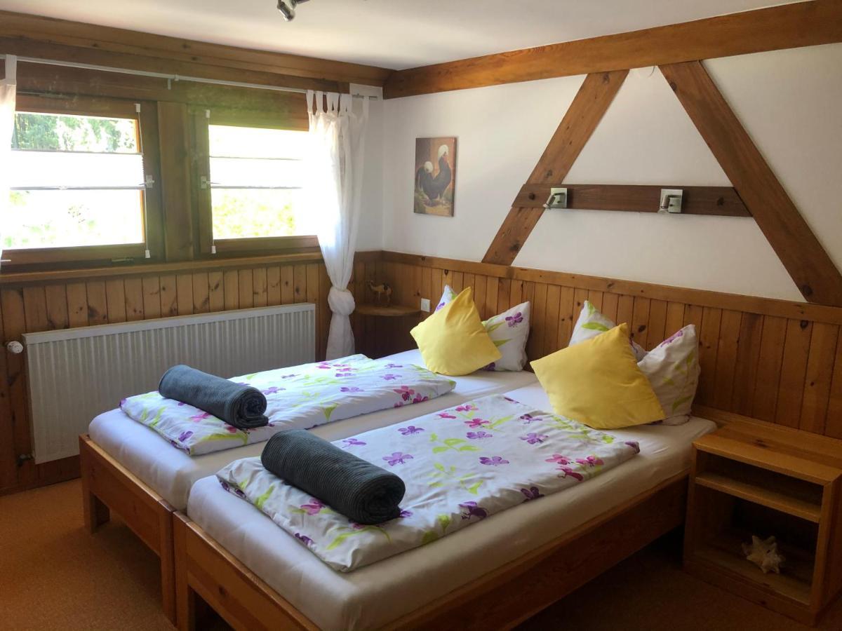 Appartamento Bergwaldhof Schonach Schonach im Schwarzwald Esterno foto