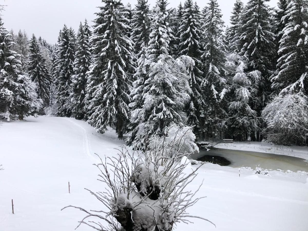 Appartamento Bergwaldhof Schonach Schonach im Schwarzwald Esterno foto