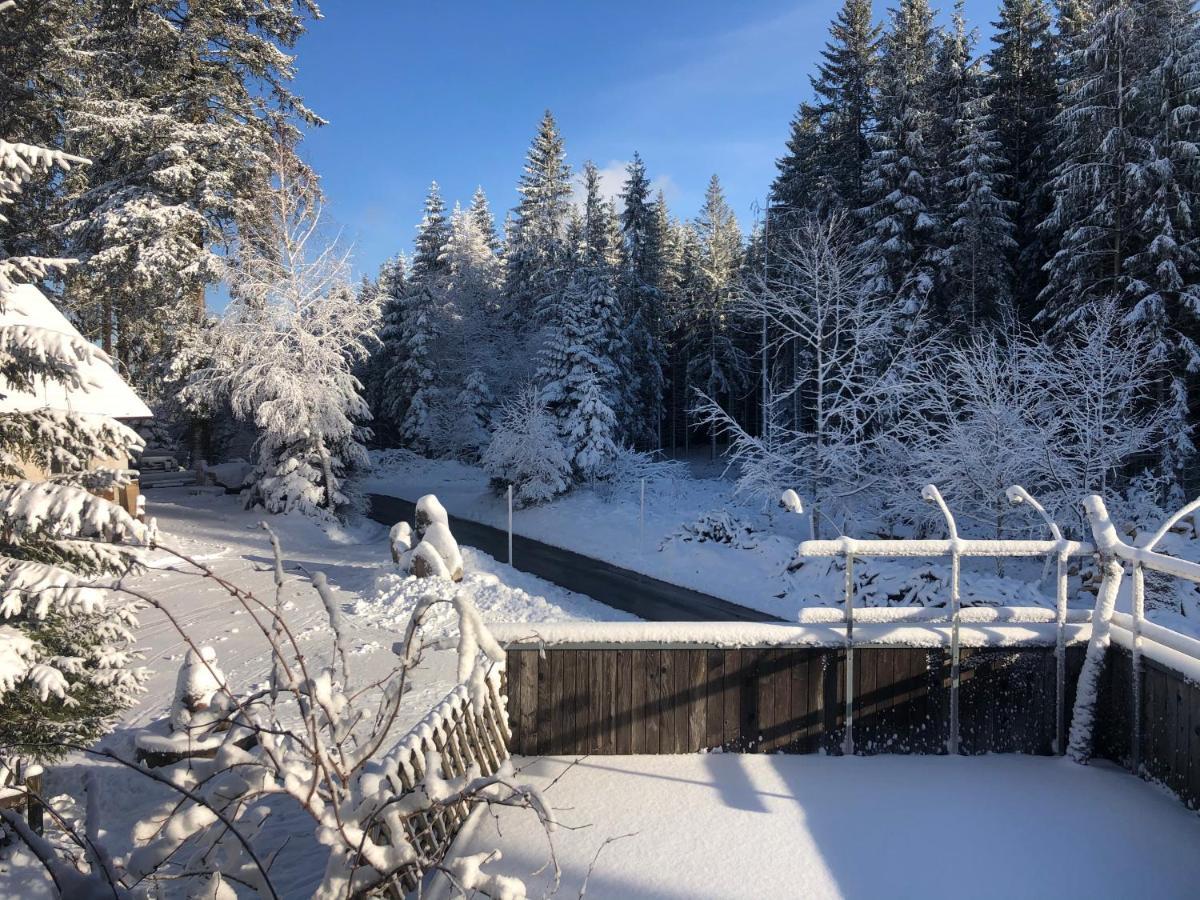 Appartamento Bergwaldhof Schonach Schonach im Schwarzwald Esterno foto