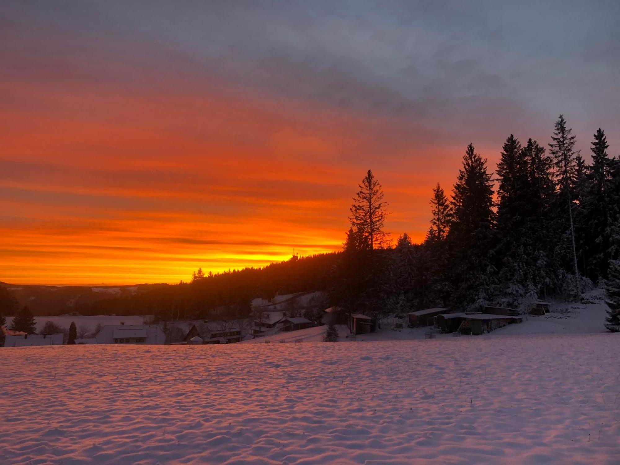 Appartamento Bergwaldhof Schonach Schonach im Schwarzwald Esterno foto