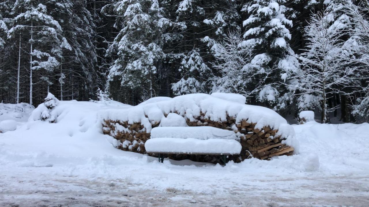 Appartamento Bergwaldhof Schonach Schonach im Schwarzwald Esterno foto