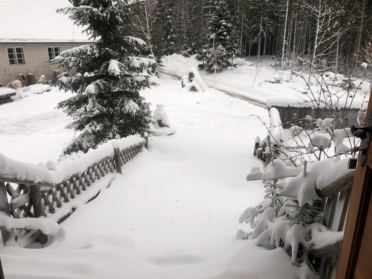 Appartamento Bergwaldhof Schonach Schonach im Schwarzwald Esterno foto